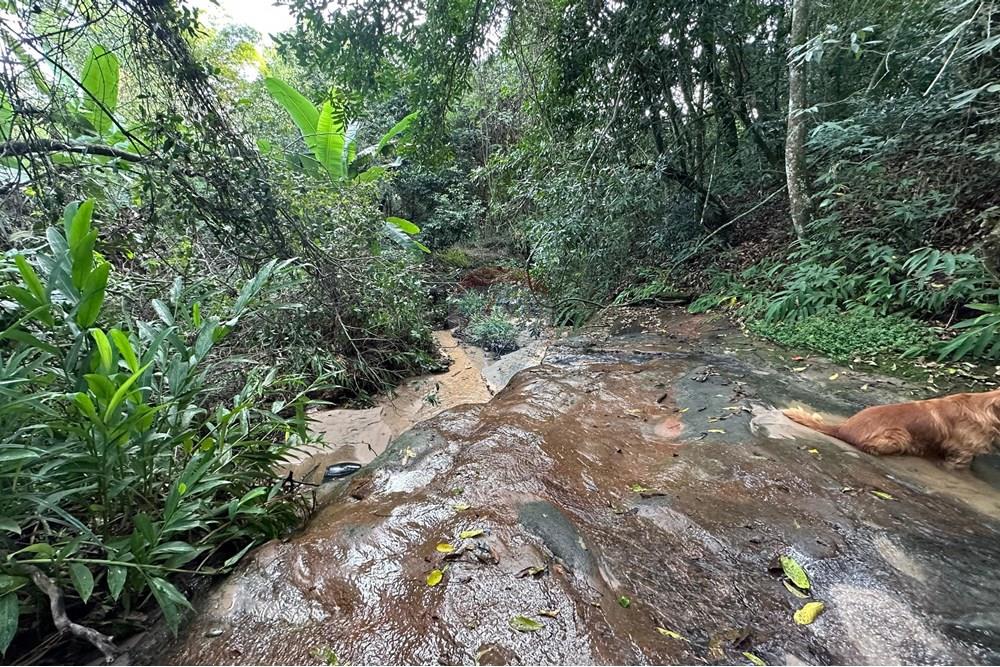 Chácara / Sítio / Fazenda - Venda - Bauru , São Paulo - 31.jpg - 631401012-35