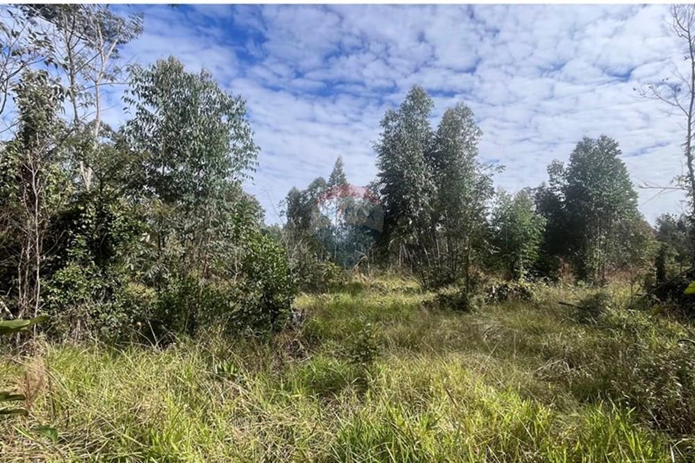 Terreno - Venda - Cabreúva , São Paulo - foto 22.jpg - 630531013-11