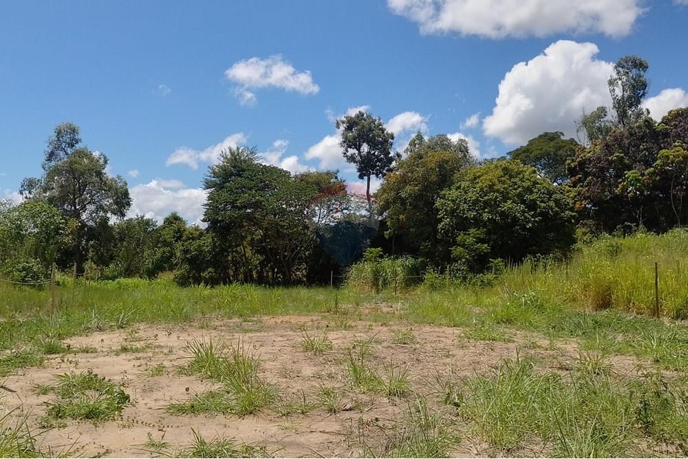 Terreno - Venda - Paraíba do Sul , Rio de Janeiro - IMG_20250225_111332_HDR.jpg - 631411001-104