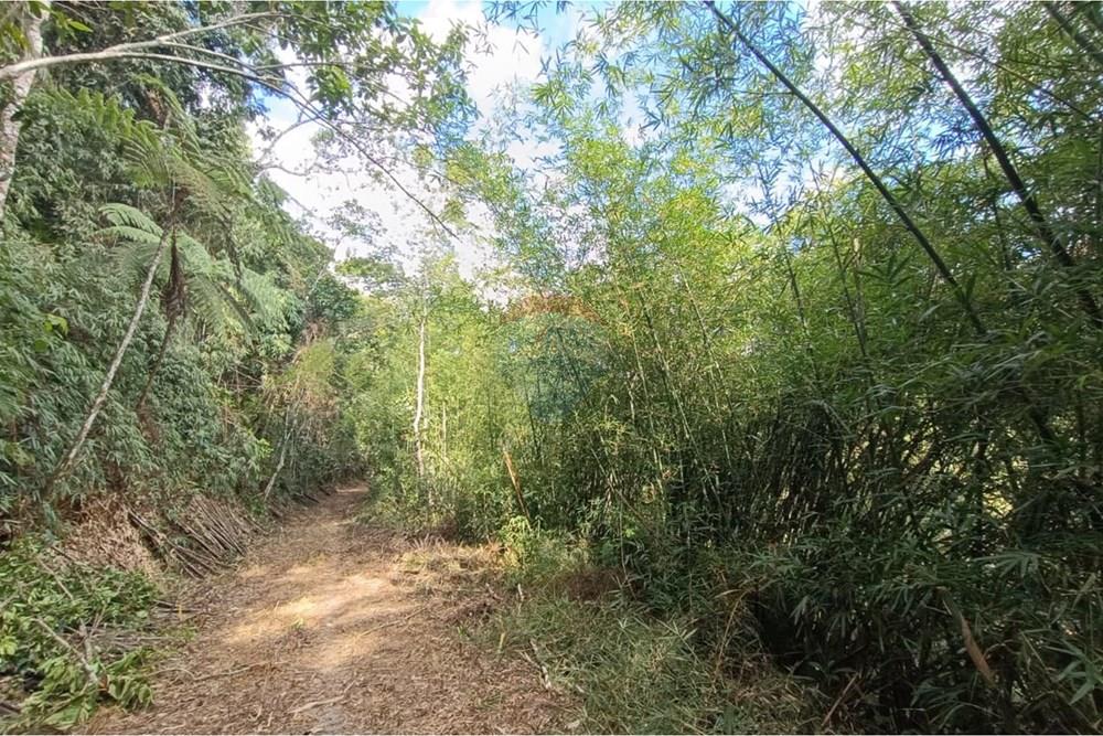 Terreno - Venda - Teresópolis , Rio de Janeiro - 10.jpeg - 630191109-22