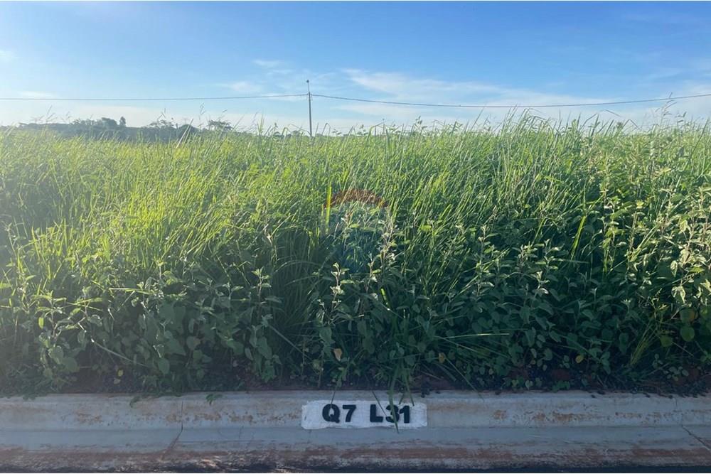 Terreno - Venda - Bady Bassitt , São Paulo - WhatsApp Image 2025-01-14 at 17.41.24 (1).jpeg - 631481002-90