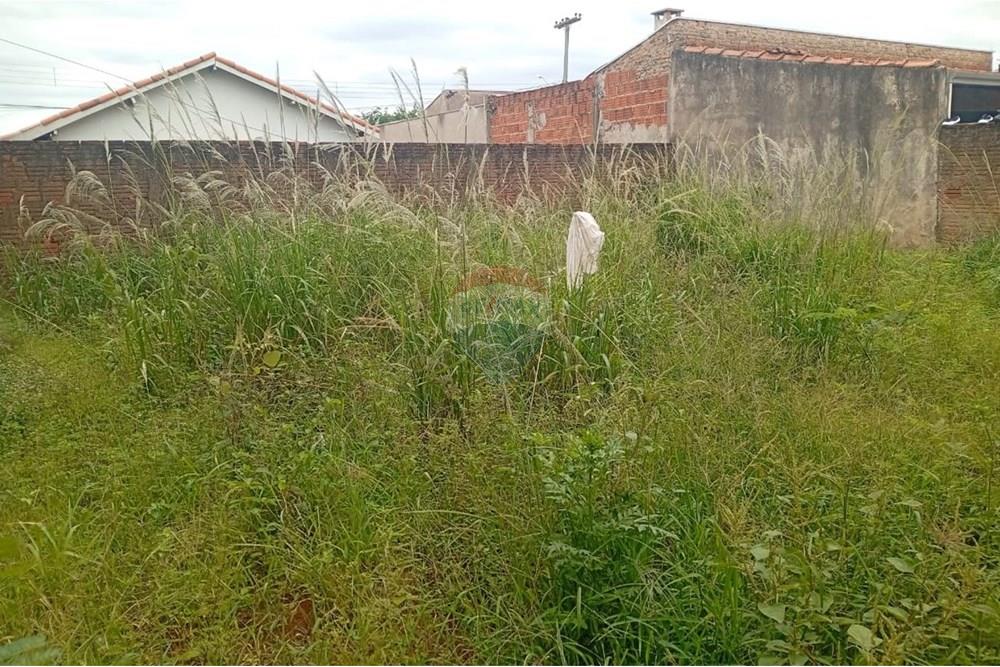 Casa - Alugar - Lins , São Paulo - WhatsApp Image 2025-12-18 at 14.34.46.jpeg - 631011013-1268