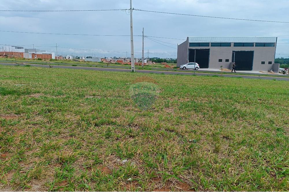 Terreno - Venda - Presidente Prudente , São Paulo - IMG_20251028_135456.jpg - 630861066-10