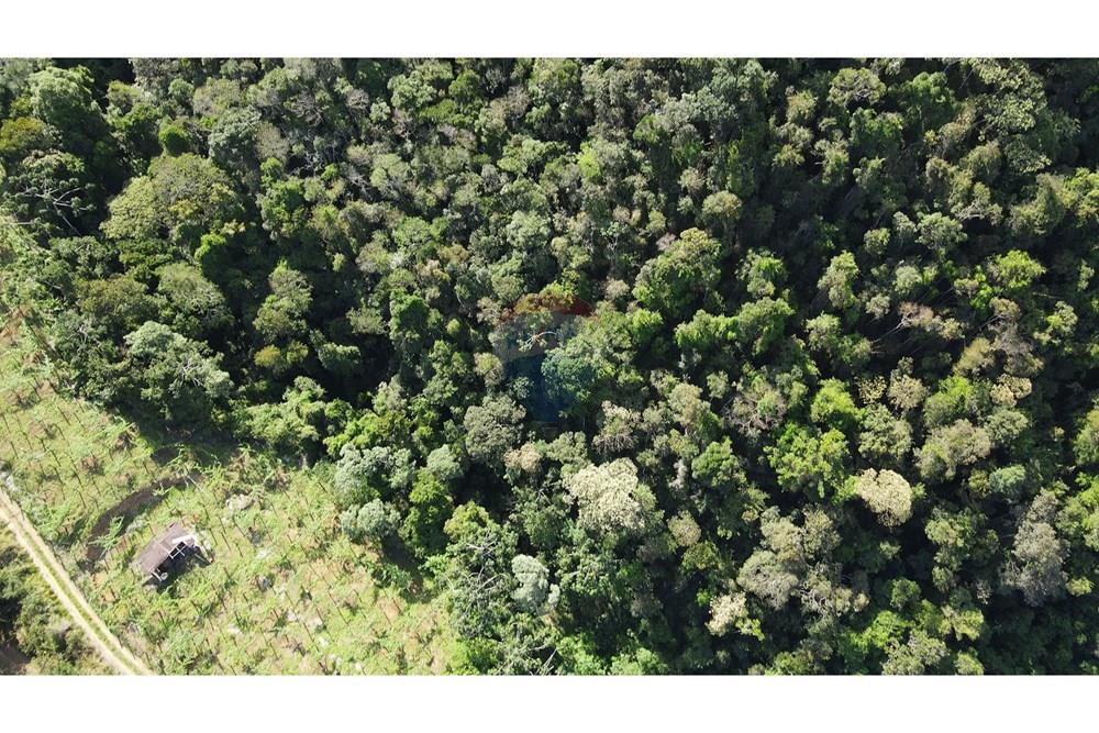 Chácara / Sítio / Fazenda - Venda - Petrópolis , Rio de Janeiro - c19.jpg - 630131071-36