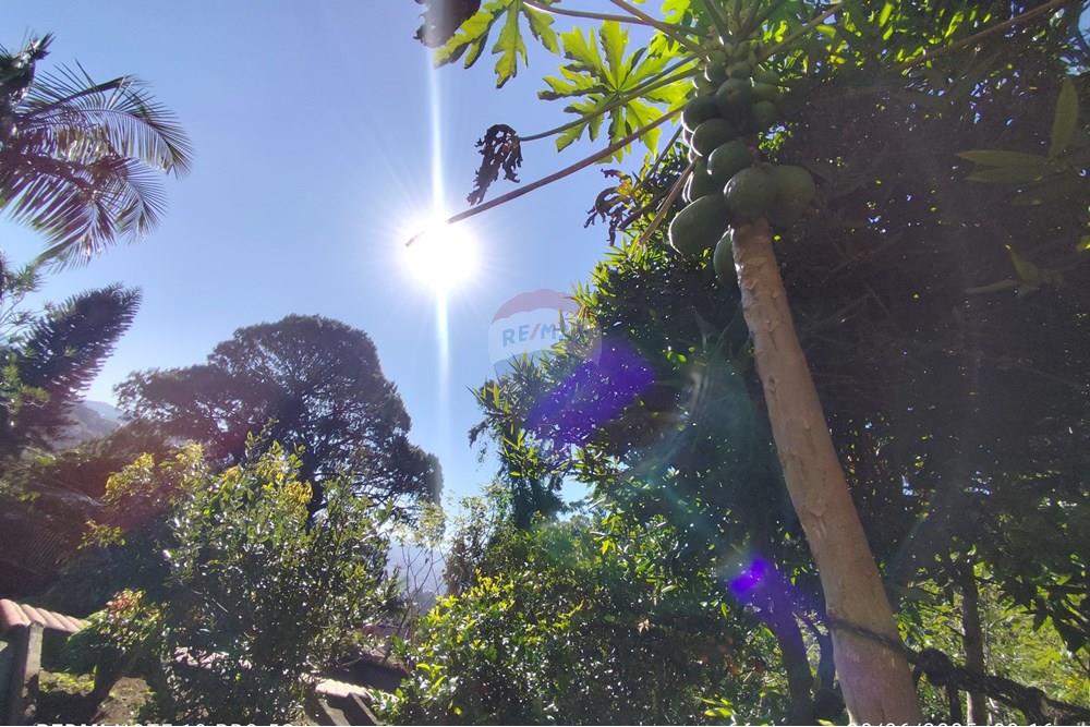 Casa - Alugar - Teresópolis , Rio de Janeiro - WhatsApp Image 2025-07-09 at 10.13.26 (1).jpeg - 630191021-121