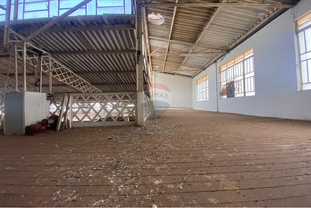 Galpão - Alugar - Botucatu , São Paulo - WhatsApp Image 2025-02-11 at 15.52.21.jpeg - 630481079-234