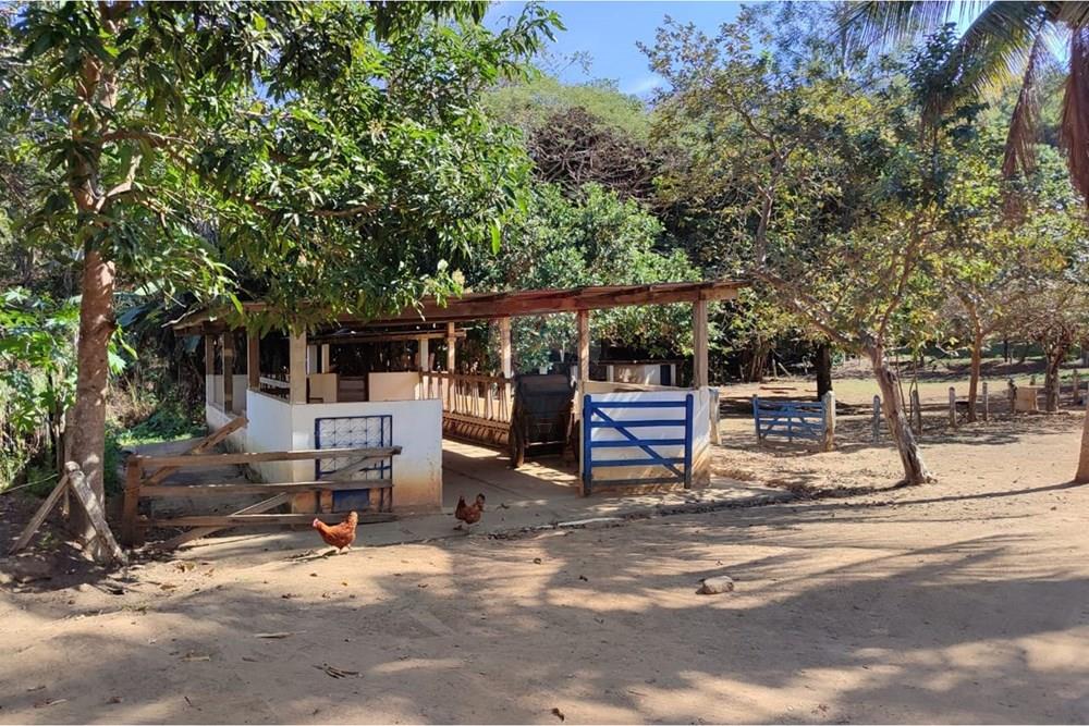 Chácara / Sítio / Fazenda - Venda - Sapucaia , Rio de Janeiro - WhatsApp Image 2026-02-09 at 10.38.43 (2).jpeg - 630191030-39