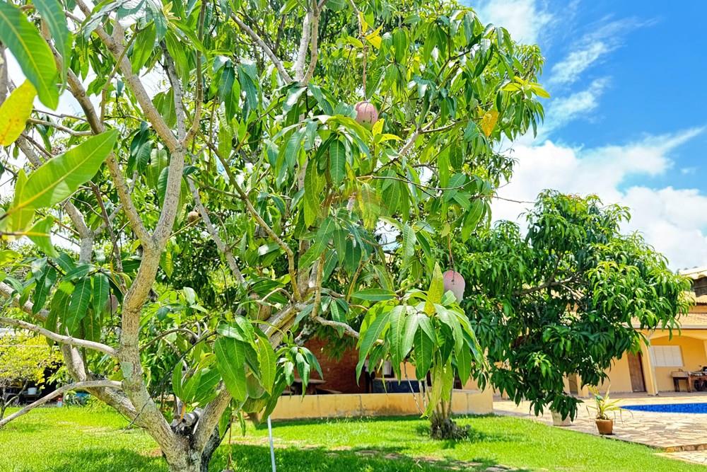 Chácara / Sítio / Fazenda - Venda - Araçoiaba da Serra , São Paulo - IMG_3402.jpeg - 631701011-32