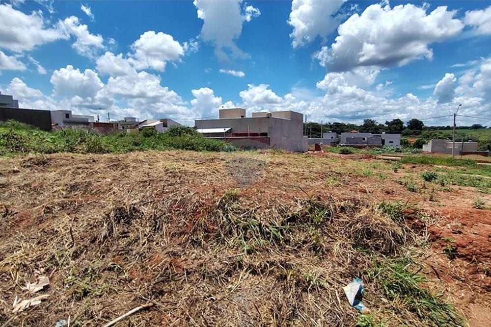 Terreno - Venda - Mirassol , São Paulo - IMG_20260207_130822955_HDR.jpg - 630401039-19