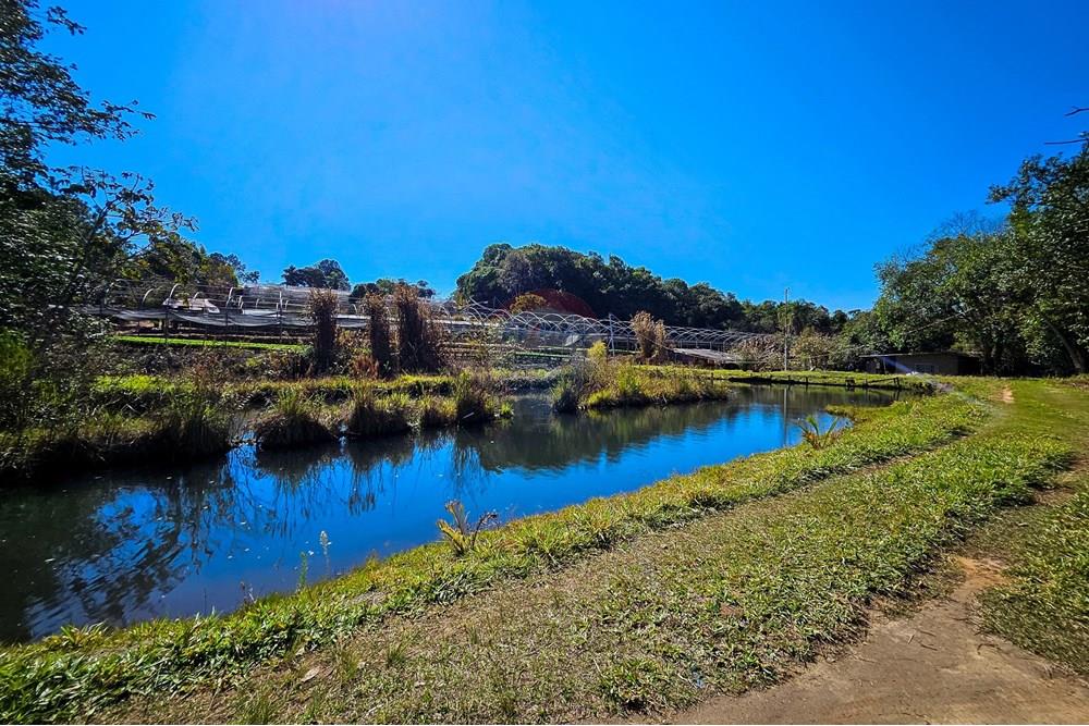 Fazenda - Venda - Botucatu , São Paulo - IMG-20250717-WA0042.jpg - 630111096-7