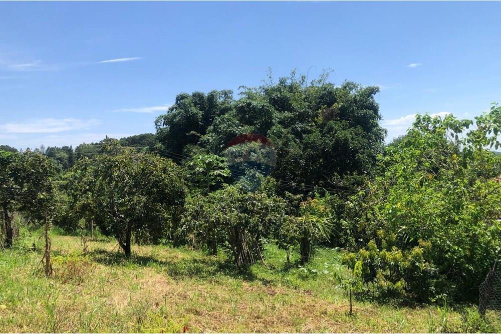 Chácara / Sítio / Fazenda - Venda - Santa Isabel , São Paulo - WhatsApp Image 2025-02-20 at 14.04.34 (1).jpeg - 631491020-25