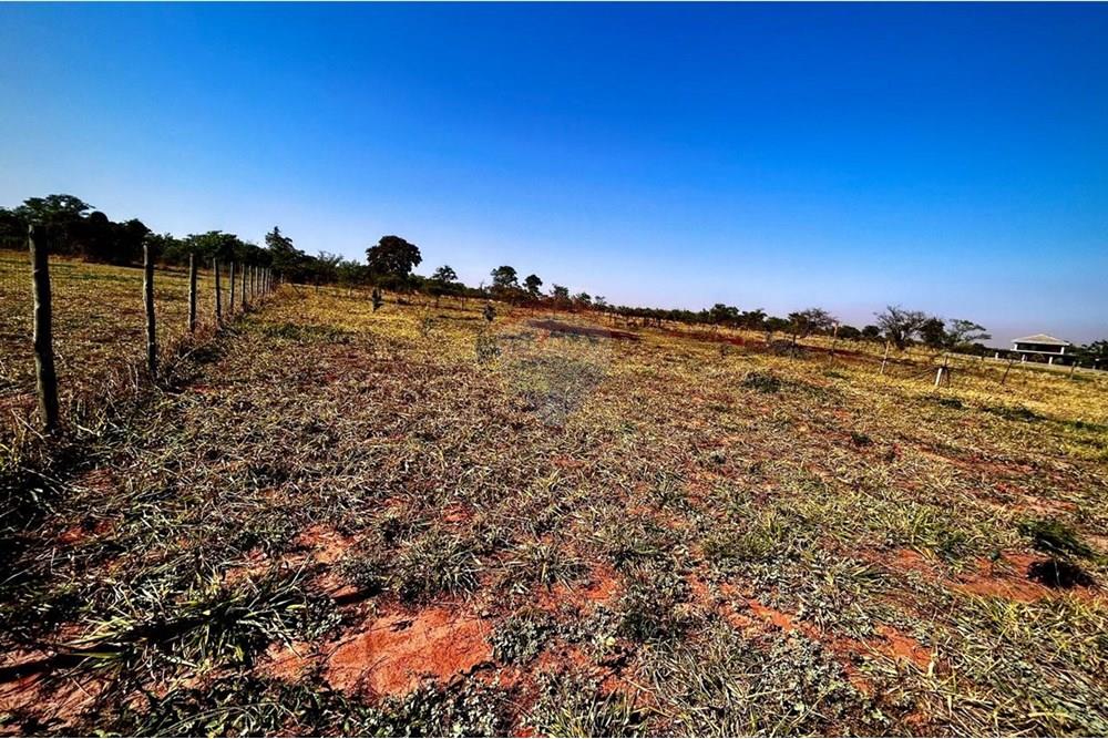 Terreno - Venda - Arealva , São Paulo - WhatsApp Image 2025-09-12 at 11.07.06.jpeg - 631401012-39