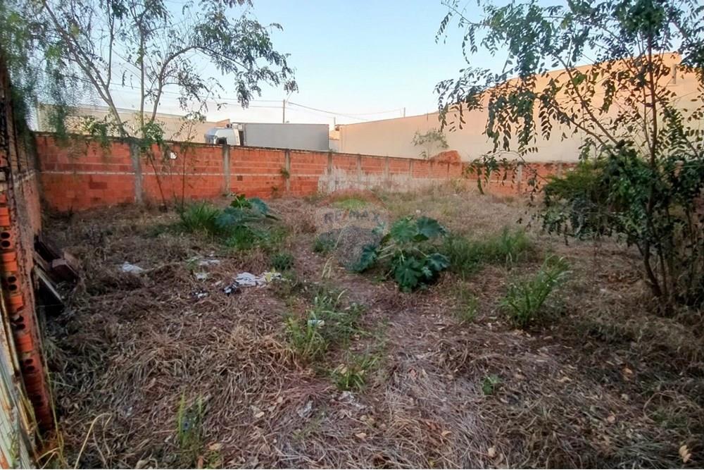 Terreno - Venda - Promissão , São Paulo - 03.jpeg - 631441009-24