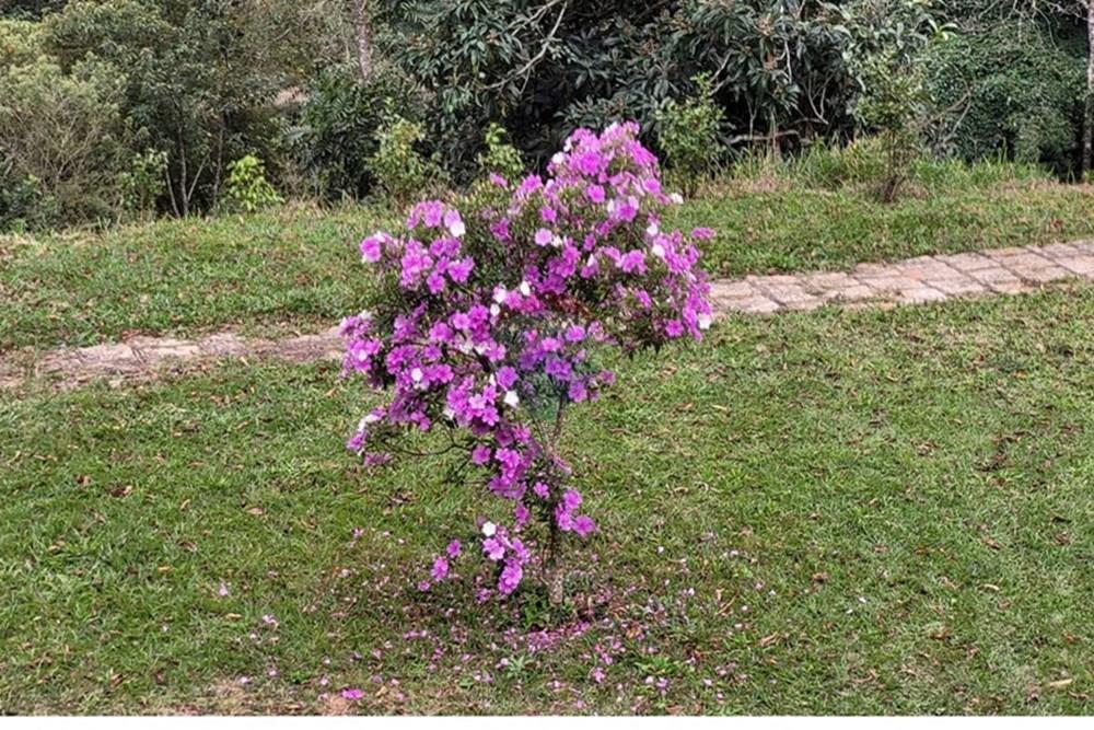 Fazenda - Venda - Teresópolis , Rio de Janeiro - IMG-20250702-WA0071.jpg - 630191078-25