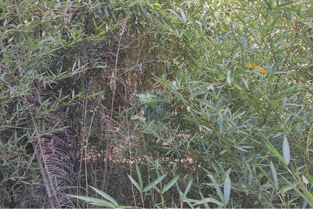 Terreno - Venda - Paraíba do Sul , Rio de Janeiro - IMG_20251106_140242.jpg - 631411001-102