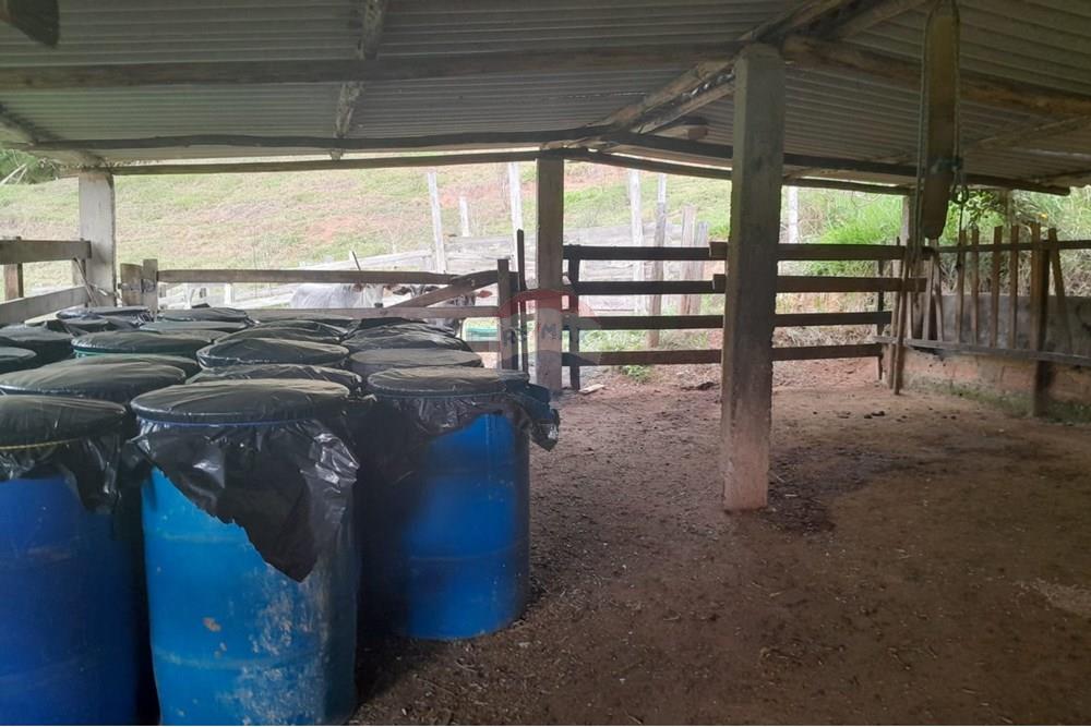 Agro - Venda - Santa Maria Madalena , Rio de Janeiro - WhatsApp Image 2025-05-29 at 13.32.58.jpeg - 630171007-50