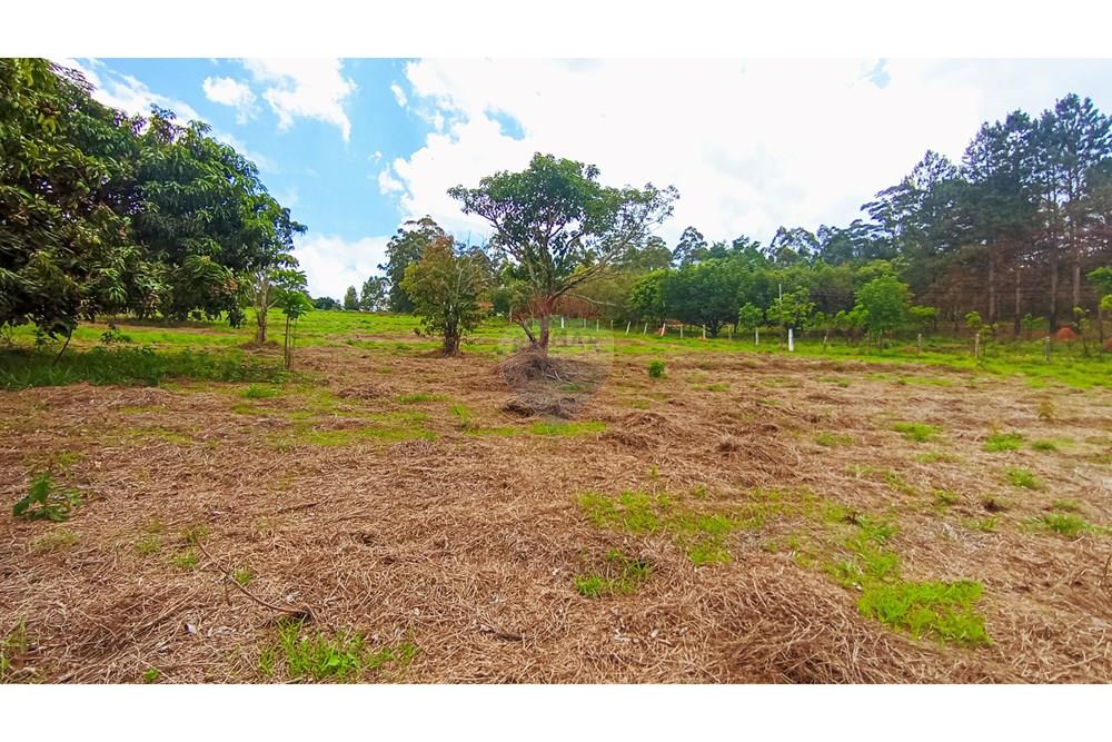 Terreno - Venda - Pardinho , São Paulo - 8-IMG_20251122_124323.jpg - Fachada - 630481103-136