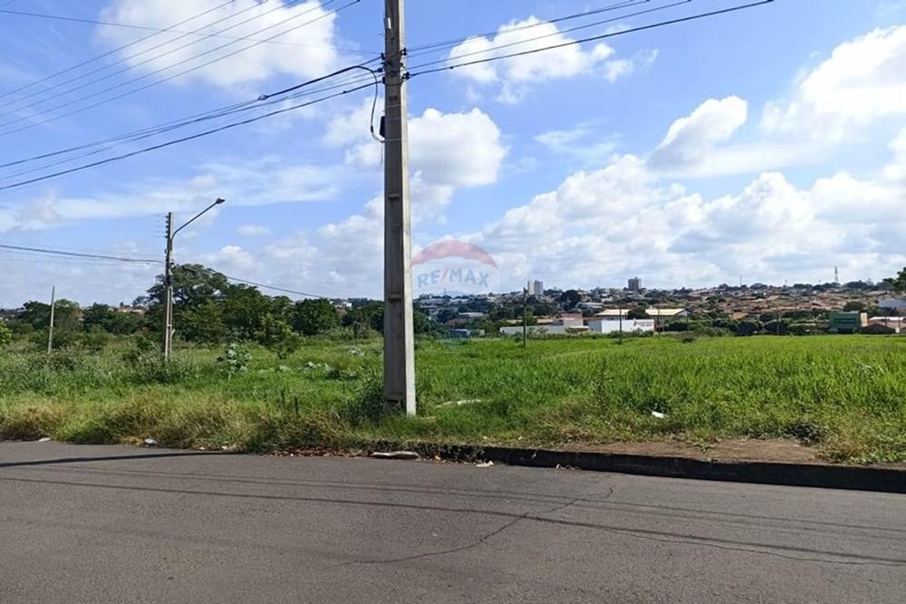 Terreno - Venda - Andradina , São Paulo - WhatsApp Image 2025-04-10 at 14.51.01.jpeg - 631201029-43