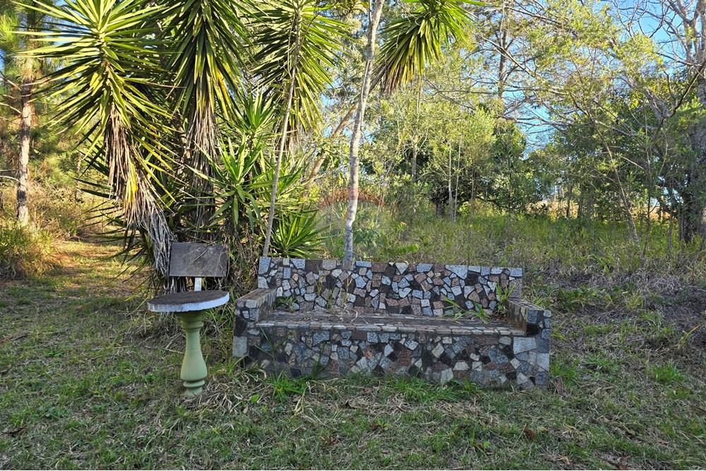 Chácara / Sítio / Fazenda - Venda - Pardinho , São Paulo - 20250730_162436.jpg - 630481103-118