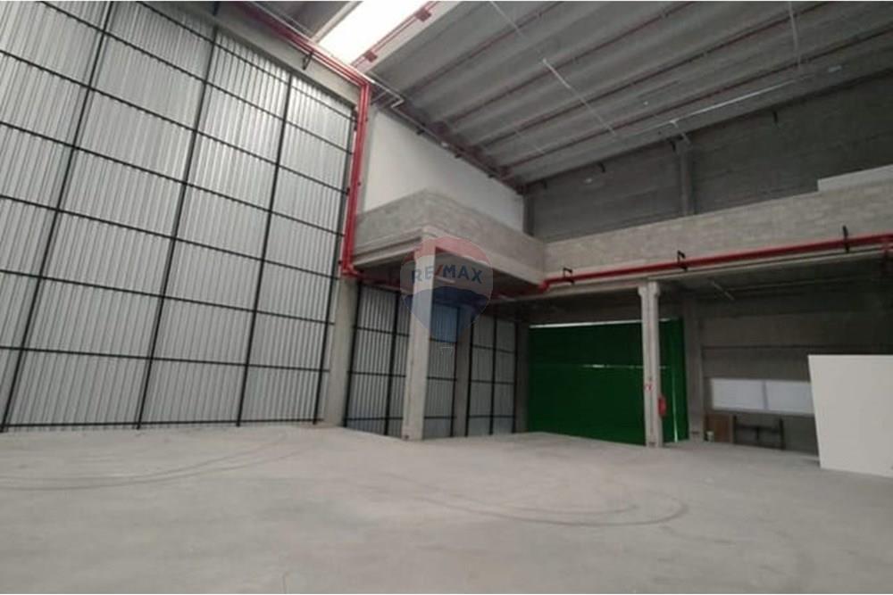 Galpão - Alugar - Santo André , São Paulo - galpao-para-alugar-1192-m-parque-central-santo-andre-sp1732050275434qbvwh.jpg - 630751057-179
