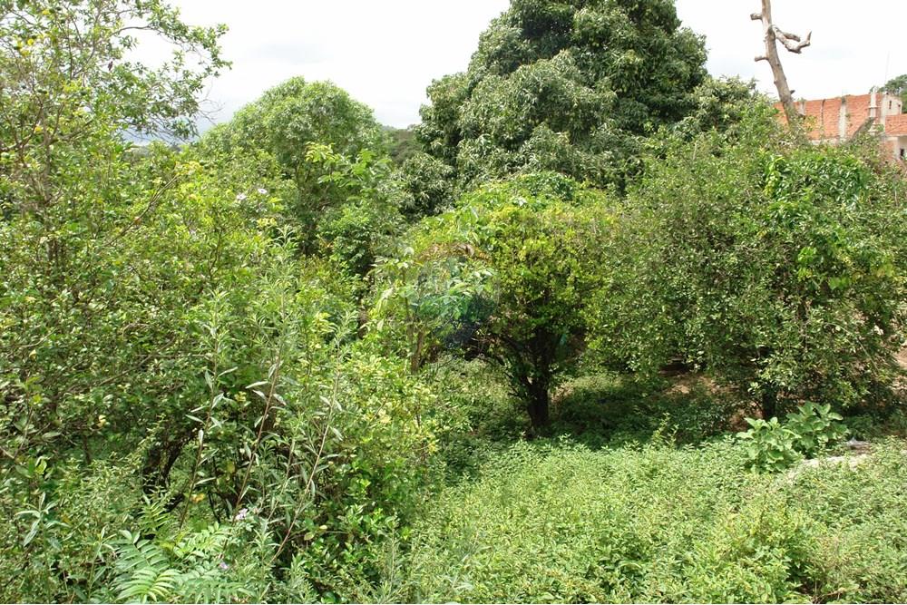 Terreno - Venda - Sorocaba , São Paulo - DSC00448.JPG - 631701011-10