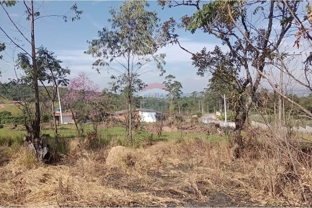 Terreno - Venda - São Roque , São Paulo - 4ea38a96-e9bb-46df-9878-31310a69b969.jpg - 631601004-111