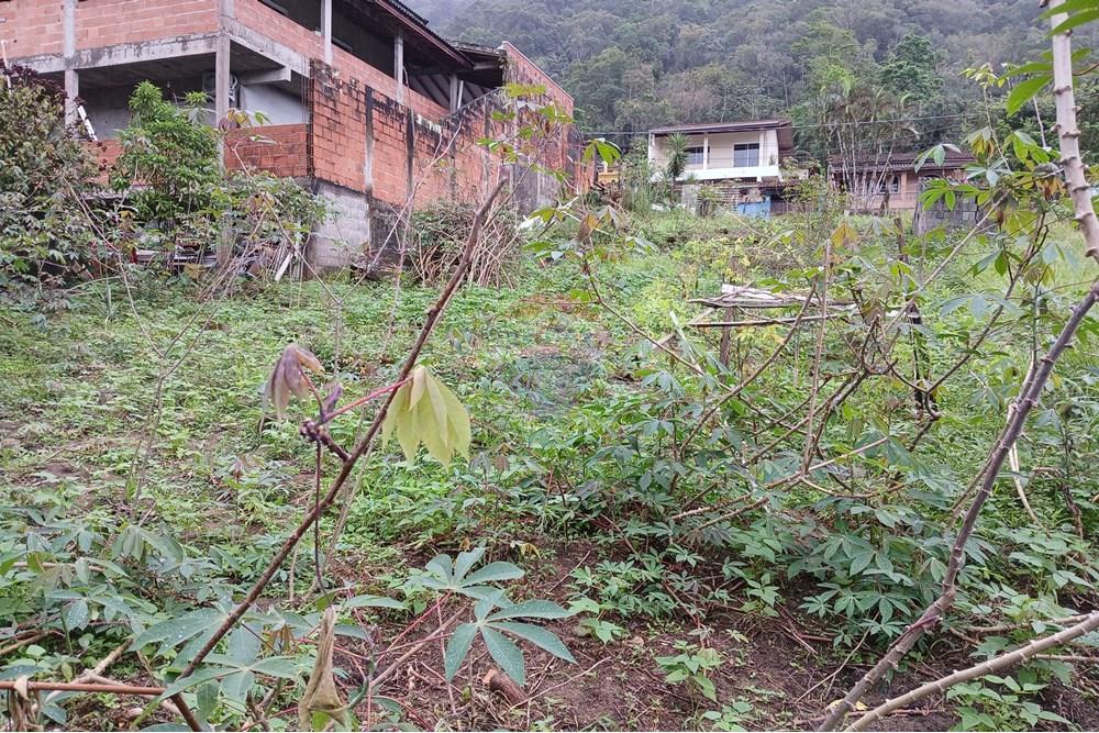 Terreno - Venda - Caraguatatuba , São Paulo - 20251009_100857.jpg - 631571013-20