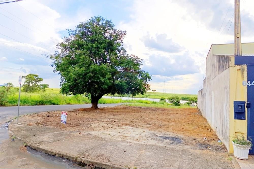 Terreno - Venda - Penápolis , São Paulo - WhatsApp Image 2025-03-15 at 10.21.43.jpeg - 631191013-102