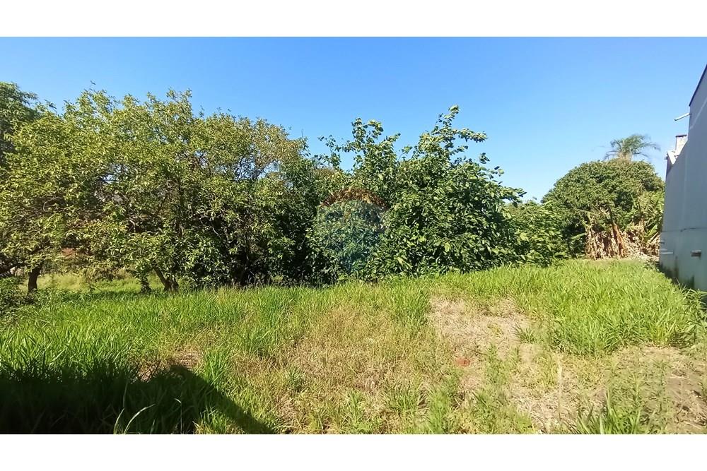 Terreno - Venda - Botucatu , São Paulo - 6-IMG_20251107_085312.jpg - 630481103-134