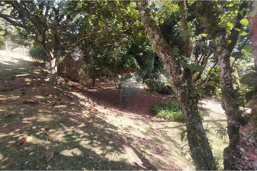 Chácara / Sítio / Fazenda - Venda - São Roque , São Paulo - WhatsApp Image 2025-12-04 at 22.57.25 (12).jpeg - 631601019-30