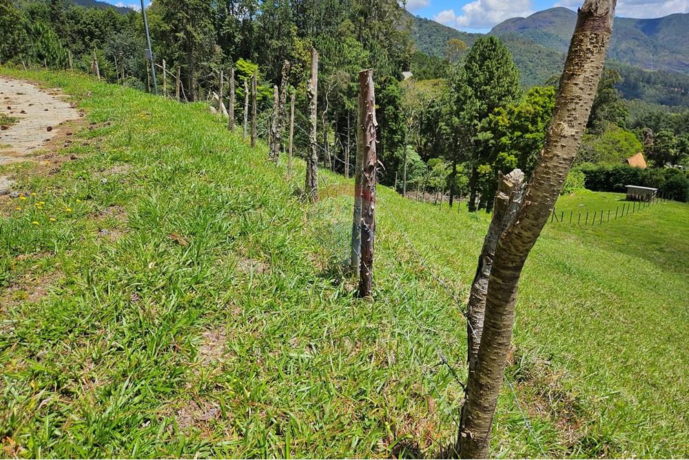 Terreno - Venda - Nova Friburgo , Rio de Janeiro - 20251111_103000.jpg - 630551024-83