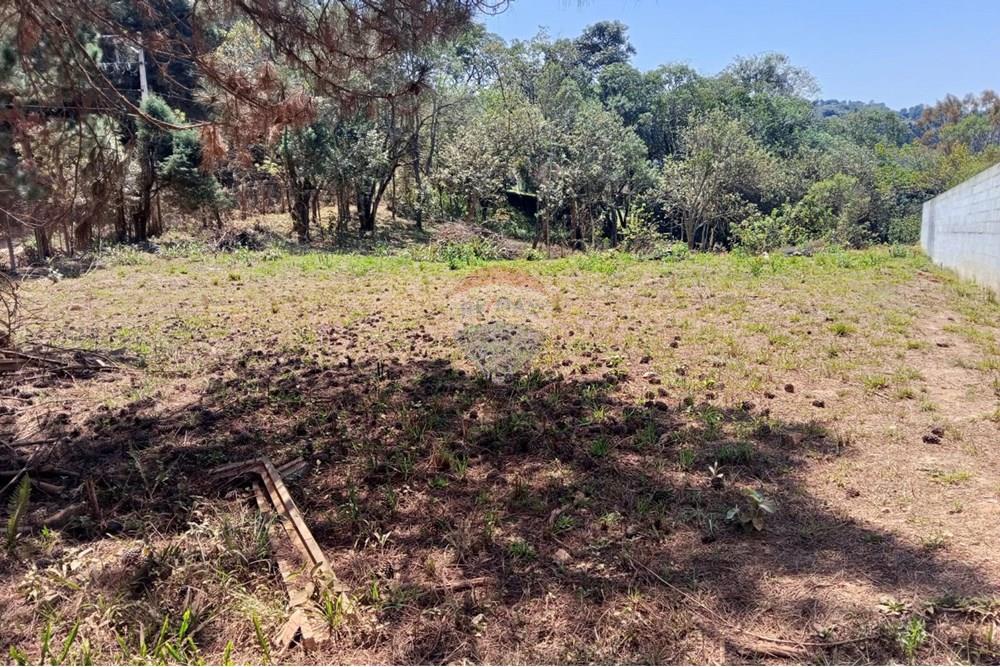 Terreno - Venda - Ibiúna , São Paulo - WhatsApp Image 2025-09-16 at 19.49.27 (3).jpeg - 631331032-5