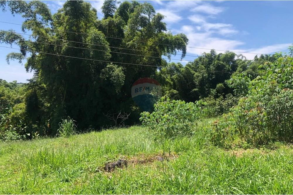 Chácara / Sítio / Fazenda - Venda - Santa Isabel , São Paulo - WhatsApp Image 2025-02-20 at 14.04.35 (21).jpeg - 631491020-25