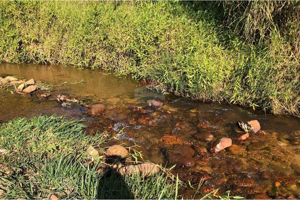 Chácara / Sítio / Fazenda - Venda - Monteiro Lobato , São Paulo - IMG-20240726-WA0109.jpg - 631431003-134