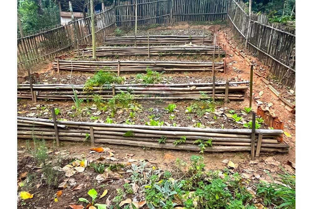 Chácara / Sítio / Fazenda - Venda - Miguel Pereira , Rio de Janeiro - IMG_2568 - Copia - Copia - Copia.JPG - 631261002-81