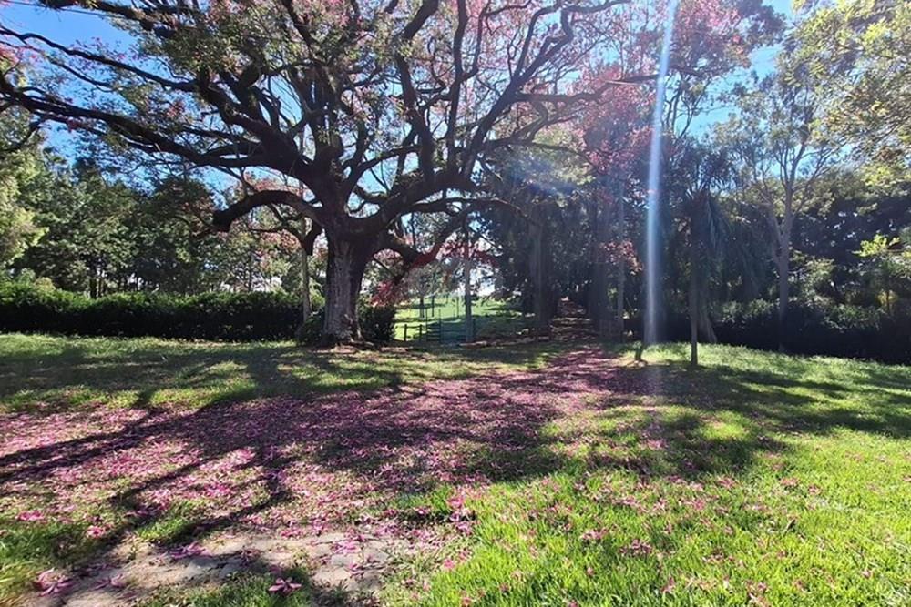 Chácara / Sítio / Fazenda - Alugar - Botucatu , São Paulo - bc2c783a-3c86-4636-8ff5-9bcd5dbde867.jpeg - 630481079-94