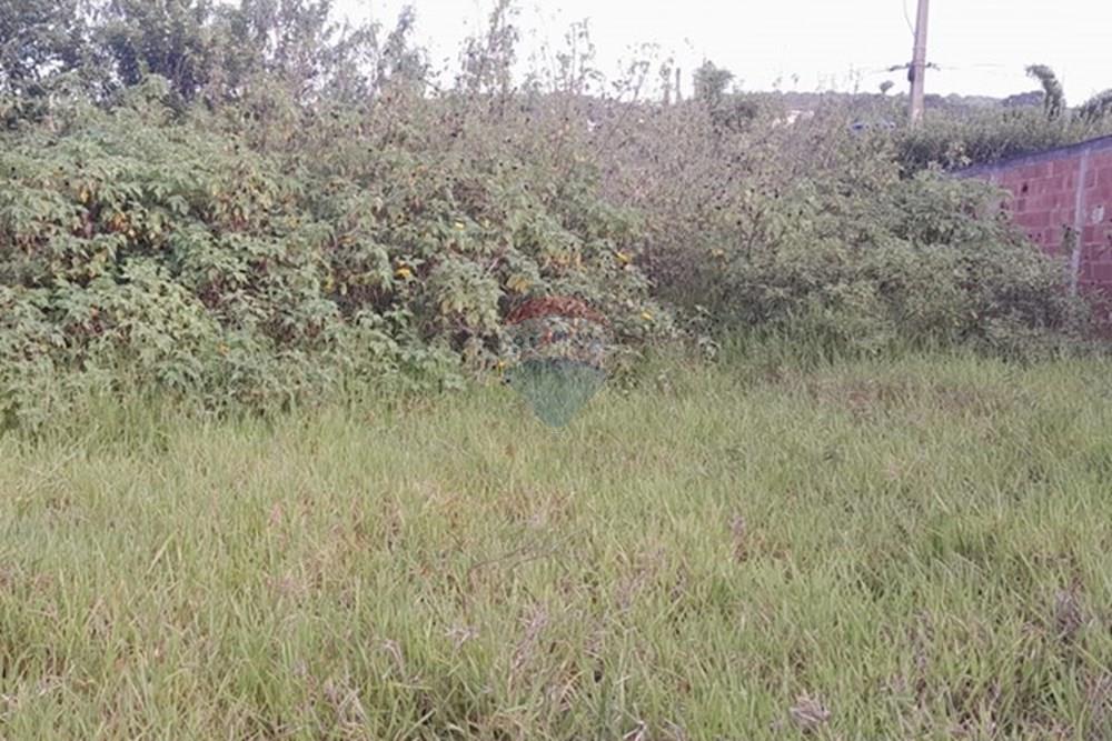 Terreno - Venda - Armação dos Búzios , Rio de Janeiro - WhatsApp Image 2025-12-18 at 09.05.57 (4).jpeg - 630391089-40