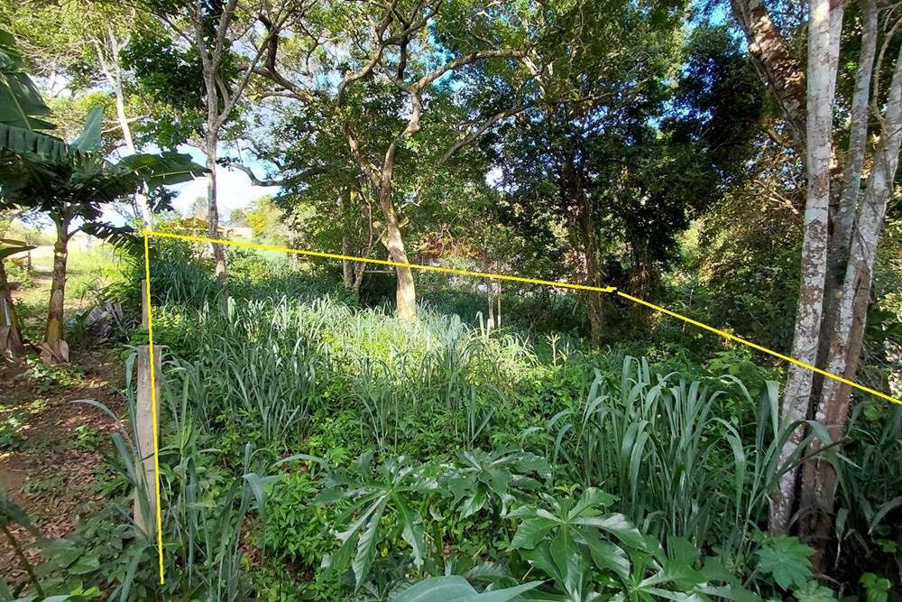 Terreno - Venda - Armação dos Búzios , Rio de Janeiro - 20260206_163755.jpg - 630391071-28