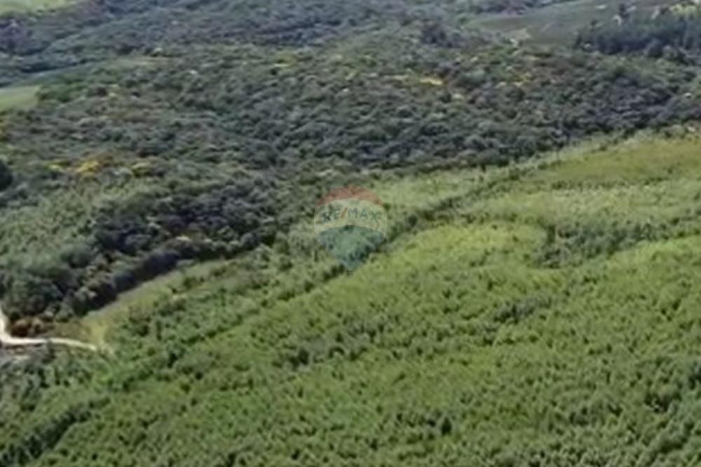 Chácara / Sítio / Fazenda - Venda - Ribeirão Branco , São Paulo - Captura de tela 2025-08-08 170246.jpg - 630541038-45