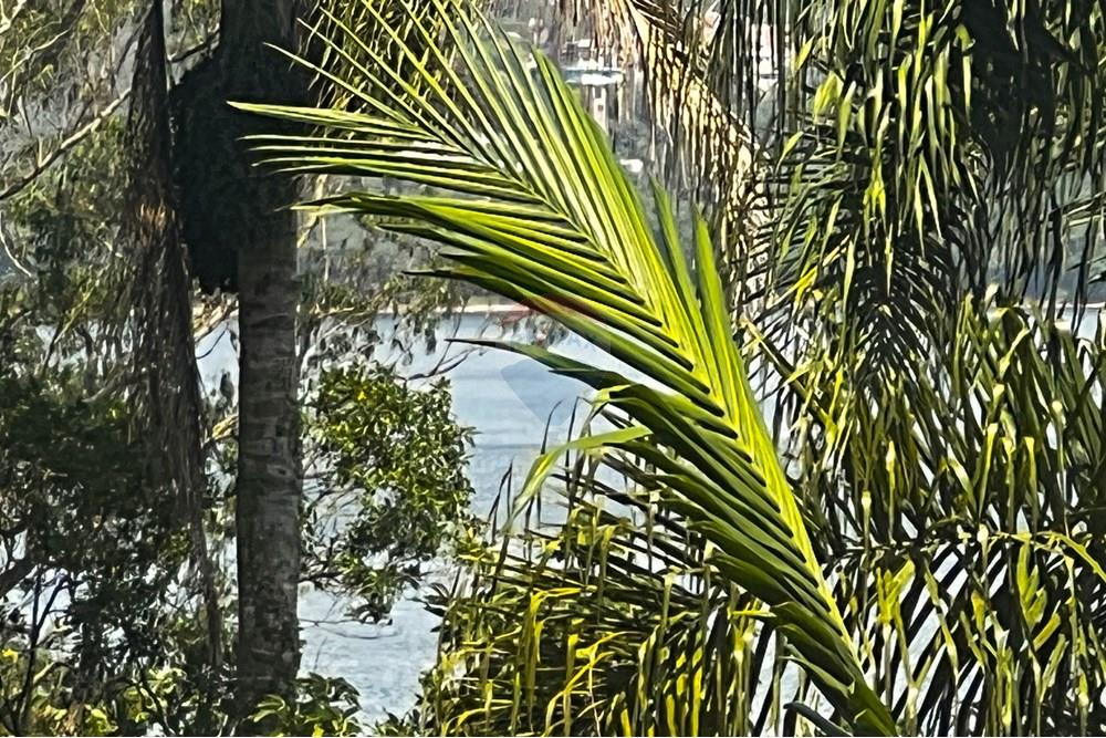 Casa de Condomínio - Venda - Ribeirão Pires , São Paulo - 38.jpg - 631371013-61