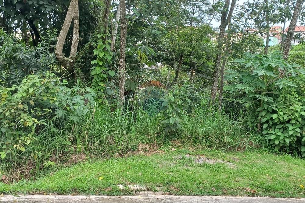 Terreno - Venda - Mairiporã , São Paulo - WhatsApp Image 2026-02-09 at 21.28.27.jpeg - 631361080-8