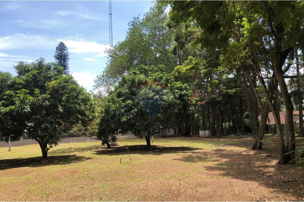 Chácara / Sítio / Fazenda - Venda - Arujá , São Paulo - WhatsApp Image 2025-12-08 at 11.04.36 (6).jpeg - 631491019-2