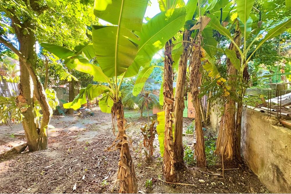 Kitnet - Venda - Armação dos Búzios , Rio de Janeiro - IMG_2692.jpeg - 630391108-2