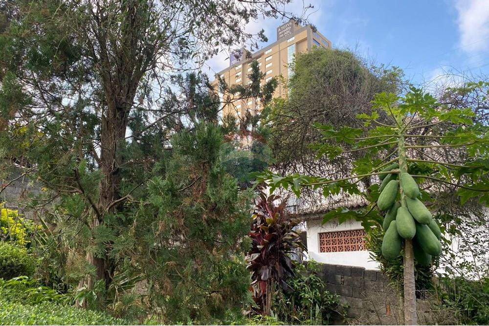 Terreno - Venda - Santo André , São Paulo - foto11.jpeg - 630821021-21