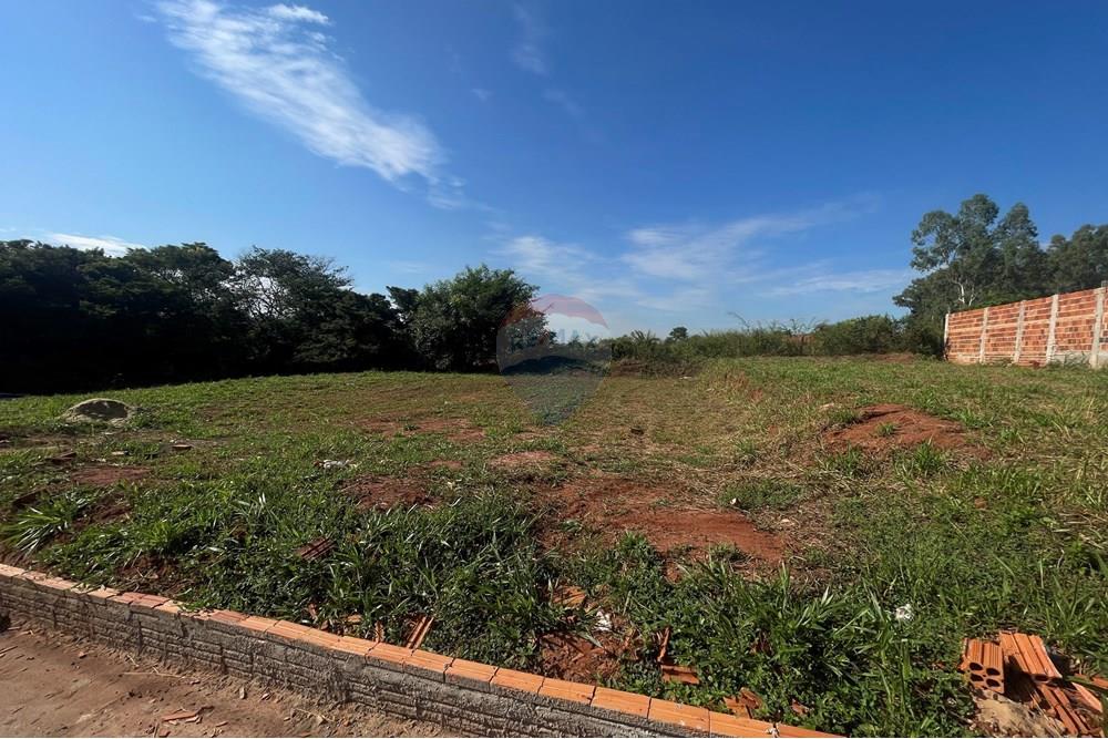 Terreno - Venda - São José do Rio Preto , São Paulo - IMG_7263.JPG - 630401028-47
