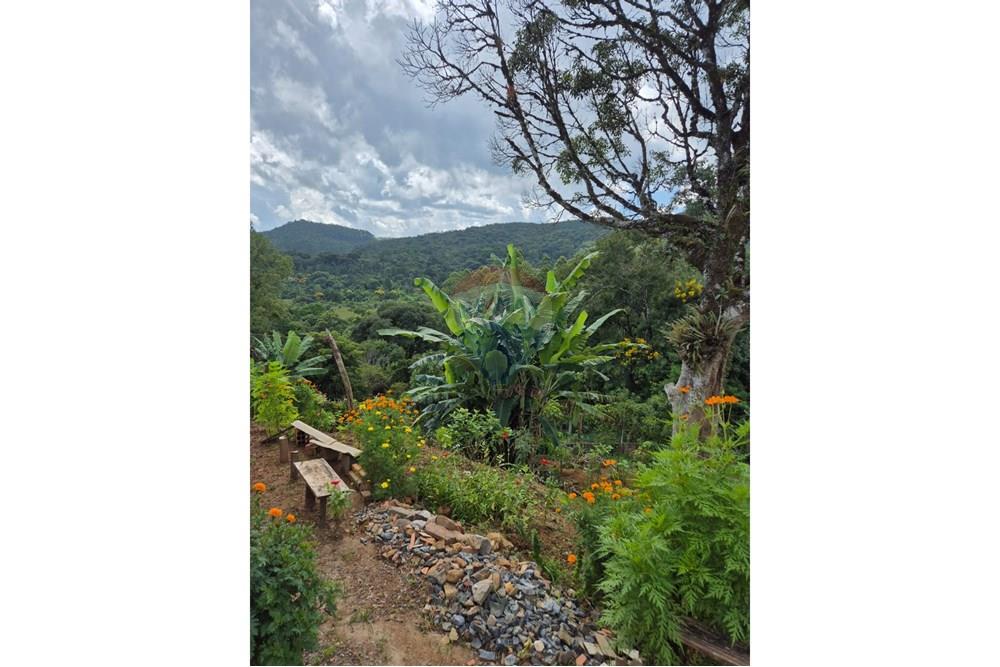 Casa - Venda - Apiaí , São Paulo - WhatsApp Image 2025-03-10 at 15.23.07.jpeg - 630241005-64