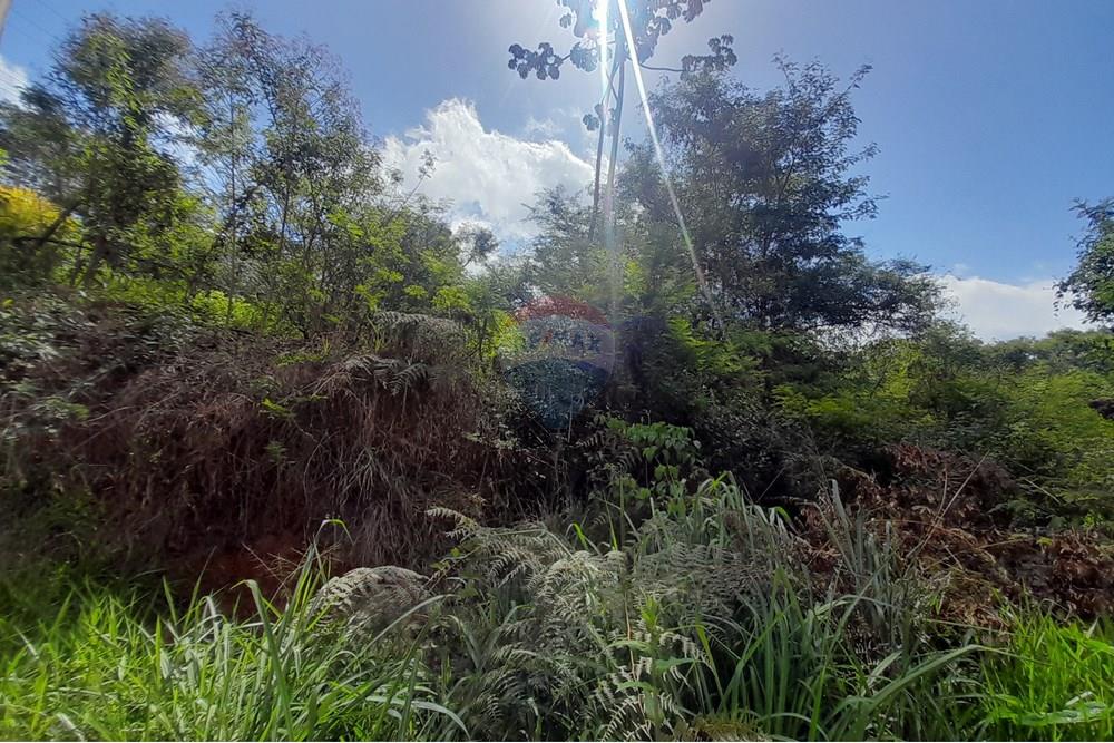 Terreno - Venda - Teresópolis , Rio de Janeiro - Terreno (4).jpg - 630191084-23