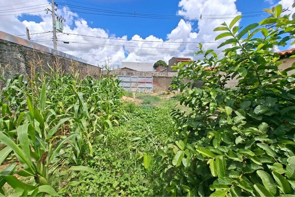 Terreno - Venda - Salto de Pirapora , São Paulo - WhatsApp Image 2026-02-06 at 21.27.35 (2).jpeg - 631181065-7