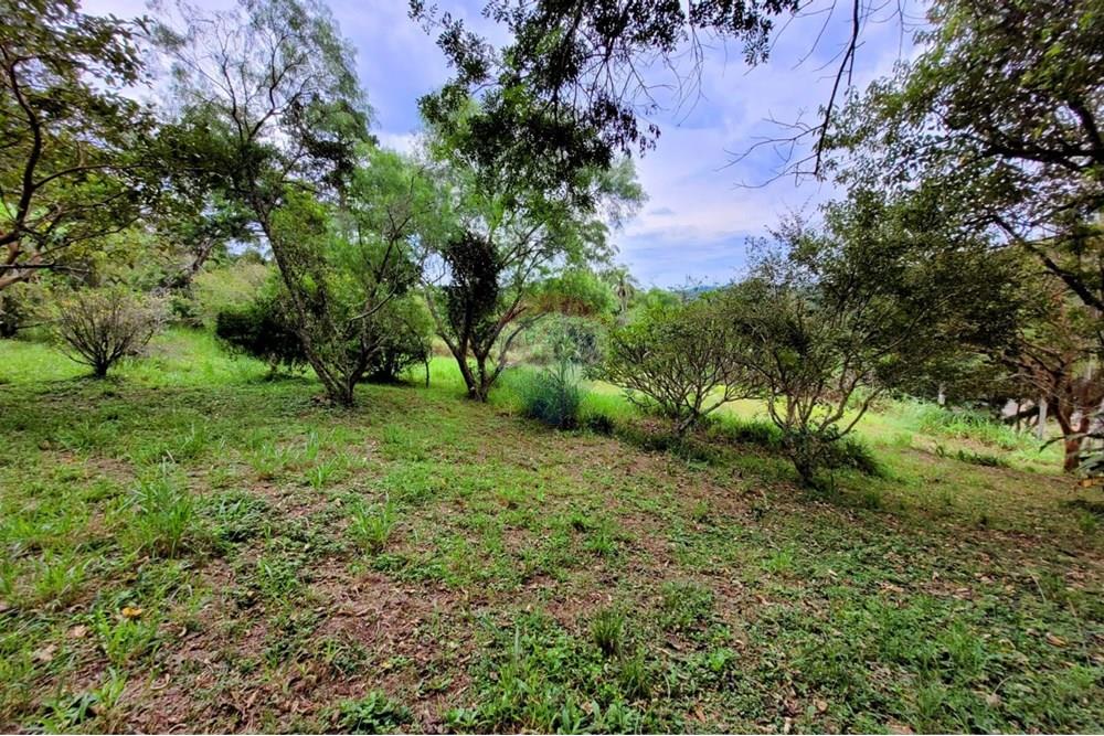 Chácara / Sítio / Fazenda - Venda - Ibiúna , São Paulo - 19.jpeg - 631331004-35