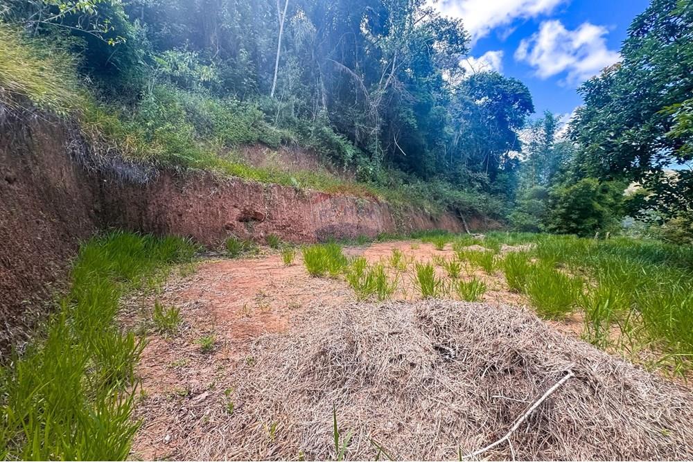 Terreno - Venda - Teresópolis , Rio de Janeiro - WhatsApp Image 2025-03-19 at 22.26.43.jpeg - 630191021-109